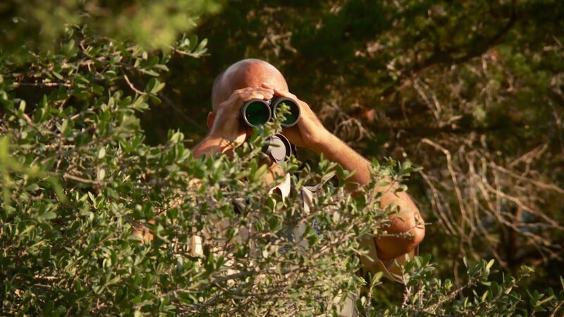 Bild: AnimalPlanet