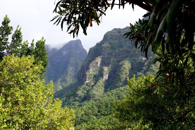 Täuschen und Tarnen – Bild: ORF