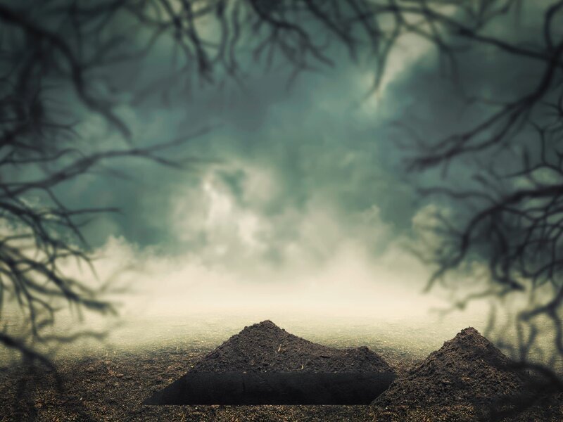 Offenes Grab im Wald in der Abenddämmerung – Bild: Depositphotos