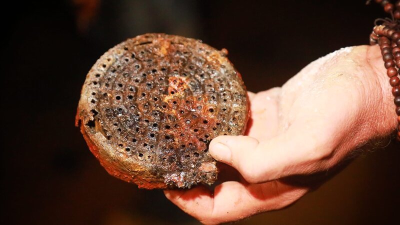 Josh finds the end of a gas mask filter in the newly excavated WWII bunker at Maisy Battery, France. – Bild: Discovery Channel /​ Discovery Communications, LLC