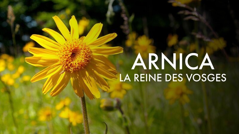 Bild: Arte