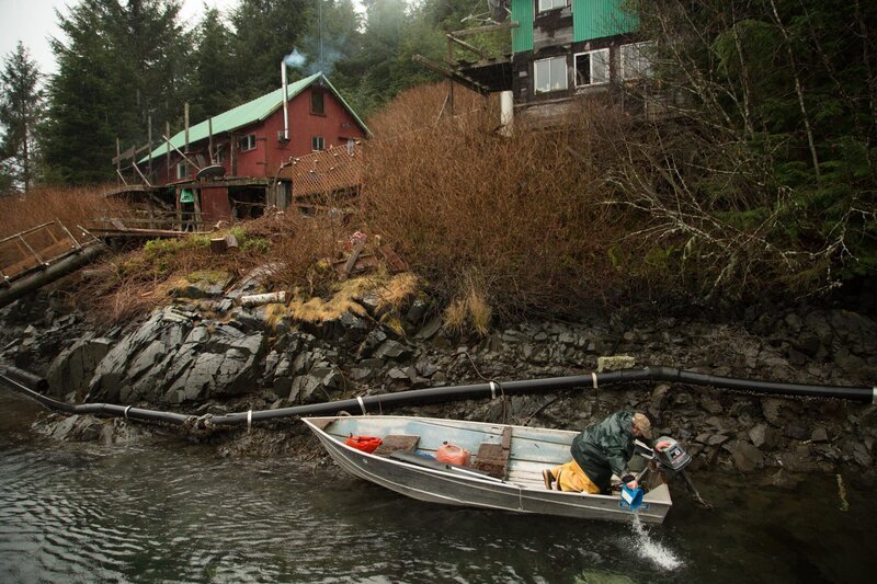 PORT PROTECTION, ALASKA- Tim „Curly“ Leach skiffs from island to island in search for fresh signs of land otters in Port Protection, AK. – Bild: The National Geographic Channel