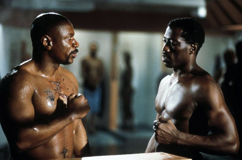 Undisputed - Sieg ohne Ruhm – Bild: Canal+ First Austria