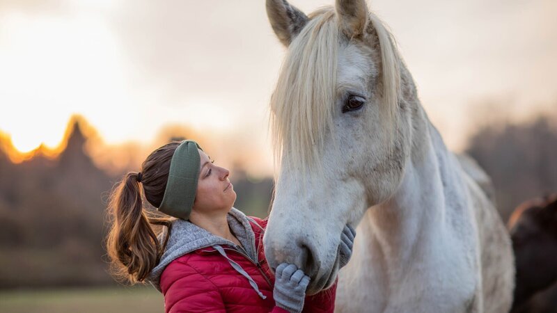 Ashley grooming a horse while the sun is setting. – Bild: Discovery Communications, LLC/​David Clawson