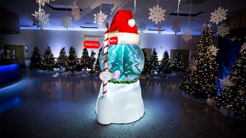 The finished Snow Globe aquarium. – Bild: Animal Planet