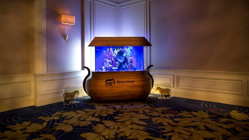 The finished „Noah’s Ark“ aquarium for the Morris Animal Foundation. – Bild: Animal Planet /​ 32129_ep318_109 – Photobank. /​ Discovery Communications