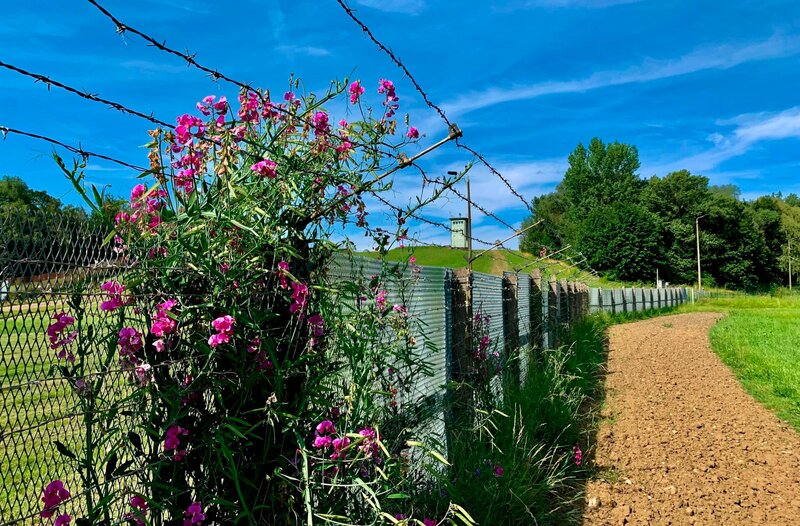 Mauer, Bunker, Grünes Band – Bild: MDR/​Sven Stephan