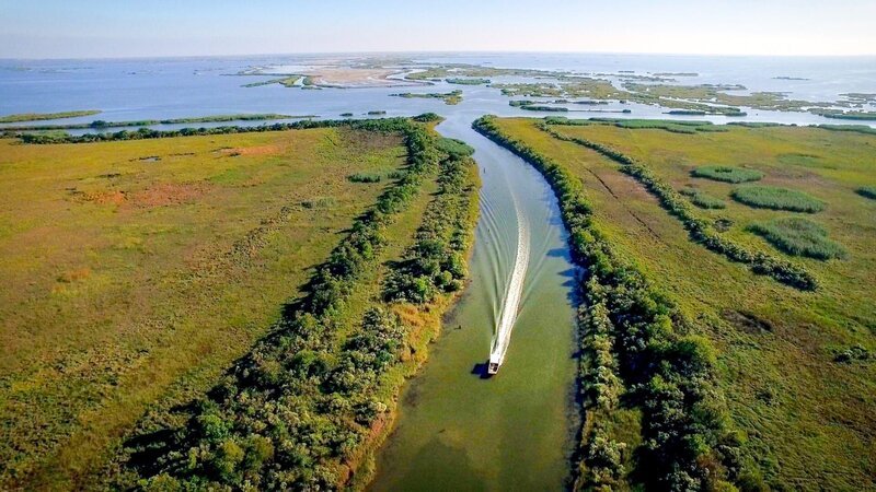 Roy Lambert mit dem Schnellboot auf dem Mississippi Delta. – Bild: ORF/​Prounenfilm