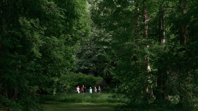 Der Zauberwald – Bild: NDR/​DocLights