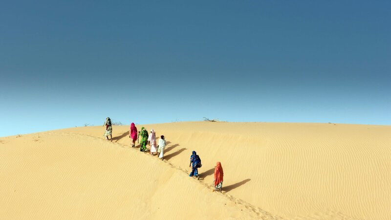 Eine Gruppe von Kanurifrauen nahe Indil, Sahel, Niger auf dem Weg Feuerholz zu sammeln. – Bild: ZDF/​ORF/​Cosmos Factory/​Udo Maurer