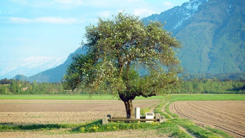Universum: „Untersberg – Sagenreiche Natur“, Der Untersberg gilt als der sagenreichste Berg der Alpen – reich an Mythen und Höhlen. Ein riesiger Gebirgsstock zwischen Salzburg und Bayern. Der Hausberg für Tausende Städter, von den Bewohnern der Region auch Wunderberg genannt. Die unverwechselbaren Menschen der wunderschönen Landschaft erzählen ihre Geschichten und gewähren Einblick in ein vom Berg geprägtes Leben. Unaufgeregte und bescheidene Menschen, die gelernt haben, in und mit der Natur zu leben: Sennerinnen und Hüttenwirte, Skitourengeher, Höhlenforscher und Kletterer. Doch immer mehr Menschen suchen im Gebirge neue Herausforderungen und den besonderen Nervenkitzel. 500.000 Menschen im Jahr besuchen den Untersberg. – Bild: ORF/​DEGN-Film