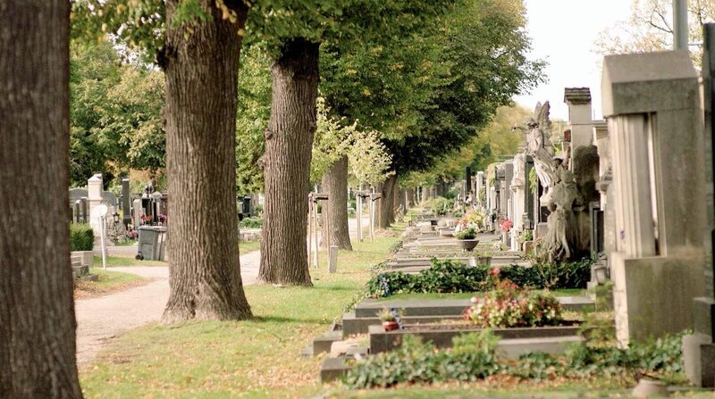 Zentralfriedhof. – Bild: ORF/Clever Contents Zentralfriedhof. – Bild: ORF/Clever Contents