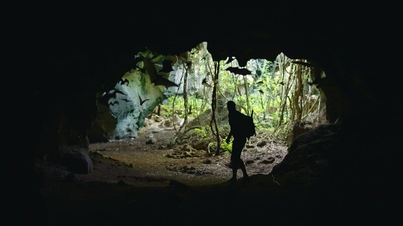 Bild: National Geographic