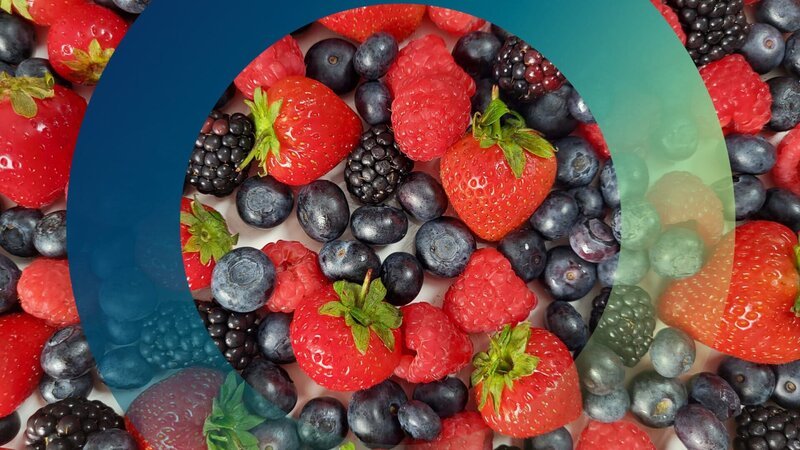 Beeren liegen gemischt auf einer weißen Fläche: Erdbeeren, Blaubeeren, Brombeeren und Himbeeren. – Bild: ZDF/​Stefan Spoo