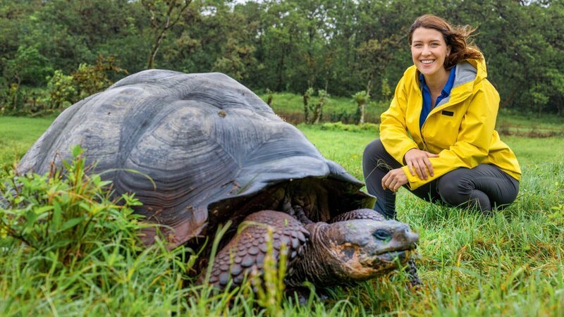Nicht nur Charles Darwin war tief beeindruckt von den größten Vegetariern der Galapagosinseln. Hannah Emde begleitet die Urzeitriesen, die wie Bulldozer durch das Hochland von Santa Cruz pflügen. – Bild: OLIVER ROETZ