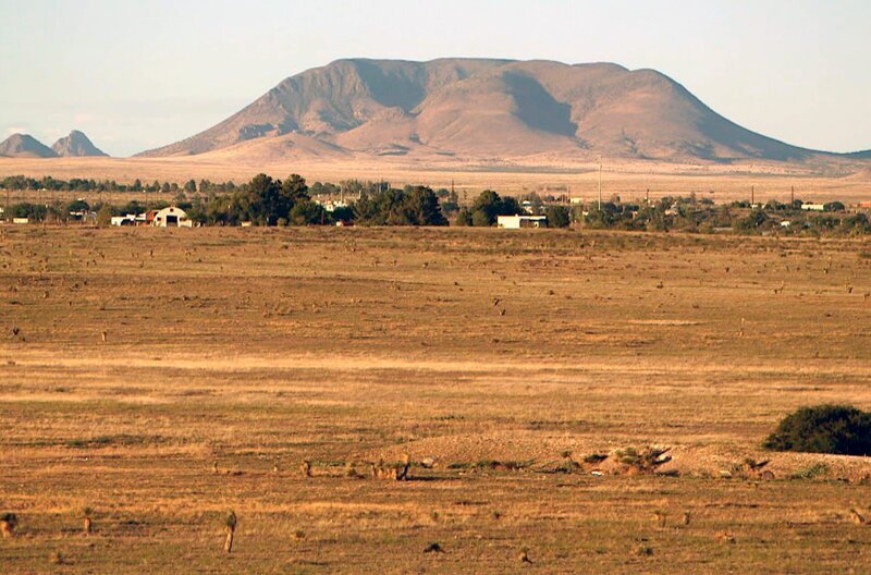 In den 1970er Jahren ließ sich der Autor Cormac McCarthy in Texas nieder. Er machte diese sonnenverbrannte Gegend zum Schauplatz seiner Geschichten, die oft von extremer Gewalt geprägt sind. – Bild: Elephant Doc