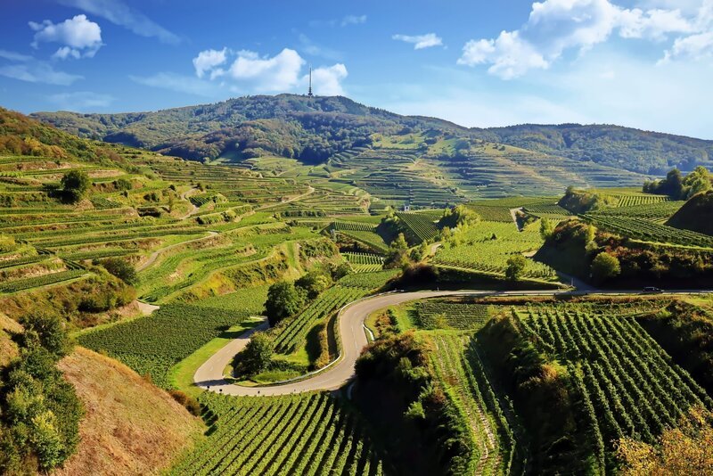 Kaiserstuhl ist ein Weinanbaugebiet in Deutschland – Bild: Depositphotos /​ nexus__