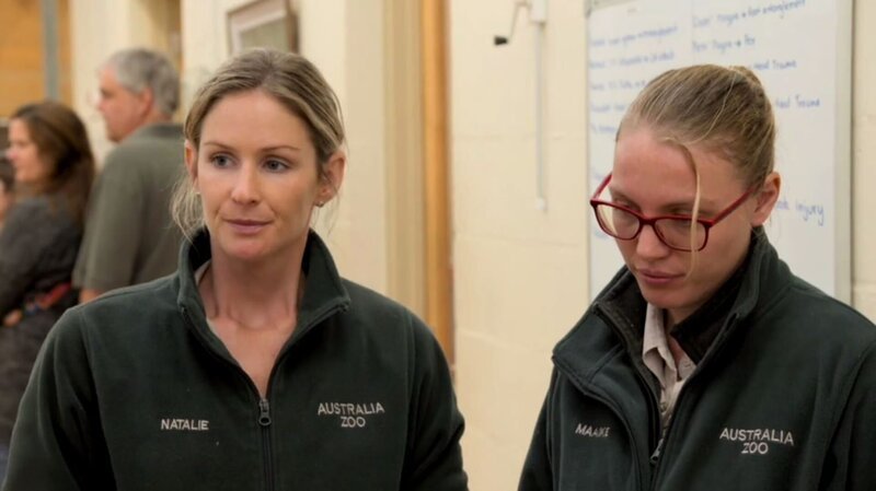 The Australia Zoo, animal keepers. – Bild: Tanja Bachetzky /​ Animal Planet