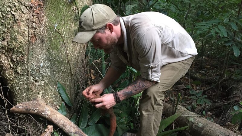 Grady Powell with his squirrel catch in Colombia. – Bild: Discovery Communications, Inc.
