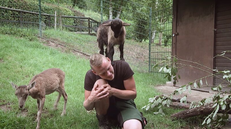 Pfleger Florian Rimpler aus dem Opel Zoo Kronberg fällt der Abschied von Zicklein Rosi und Mufflonbaby Carla schwer. – Bild: BR/​HR