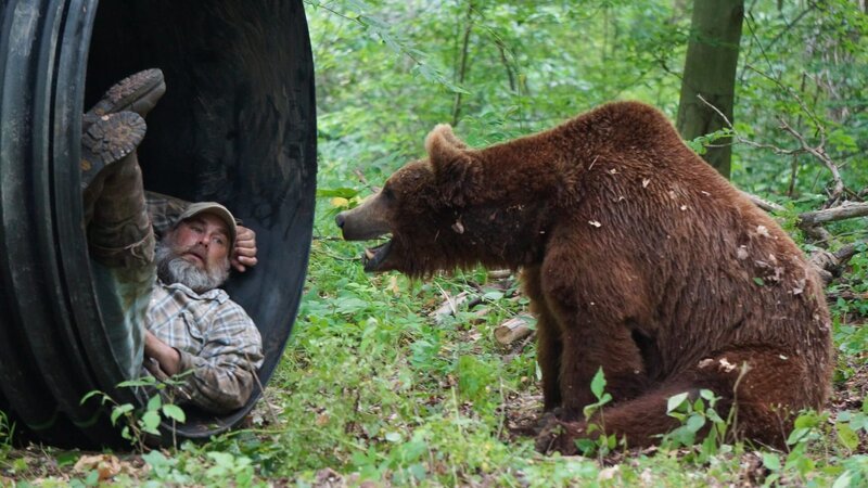 Jeff teaches the bears about denning up. – Bild: Discovery Communications