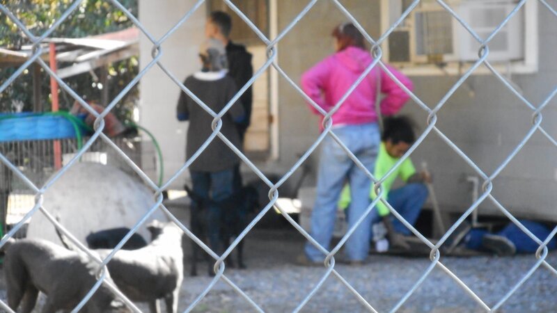 Tia, Twins, and Marcel check out Virgie’s property. – Bild: TLC