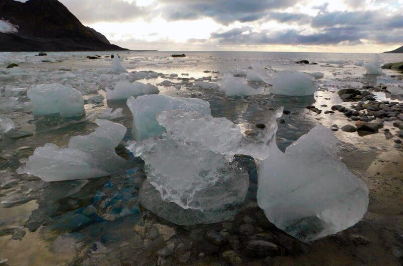 Grönland, Überleben am Rand der Welt – Bild: Stewart McPherson