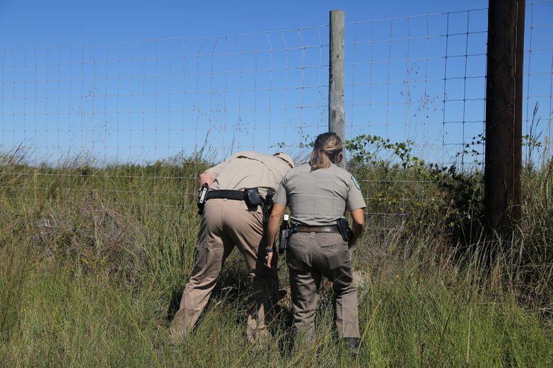 Wardens Chelsea (r.) and Ben Bailey (l.) looking at deer. – Bild: Animal Planet /​ Discovery Communications, LLC