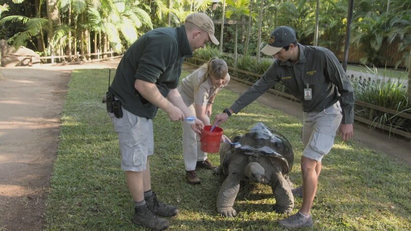 Terri Irwins (m.) – Bild: Animal Planet