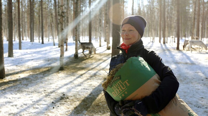 Hanna Mikkola füttert ihre Rentiere nur mit dem besten Stroh aus biologischer Landwirtschaft. – Bild: NDR/​Florianfilm