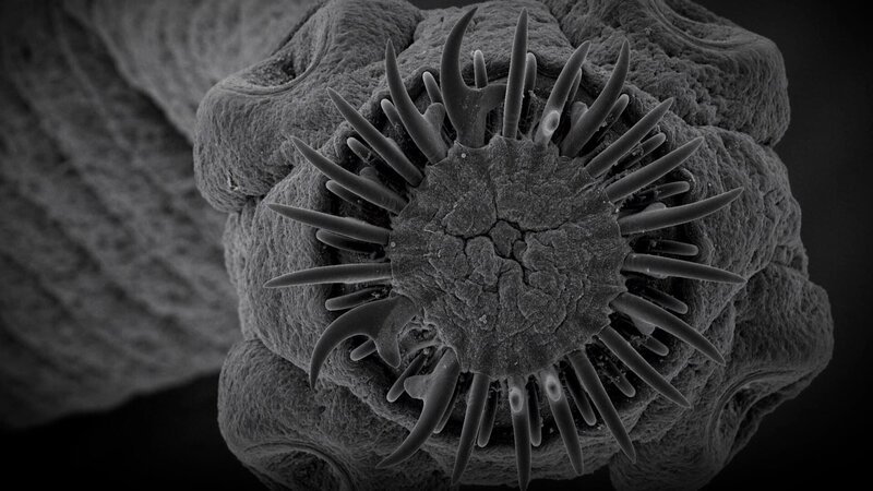 Close up of man’s eye looking surprised – Bild: Discovery Communications