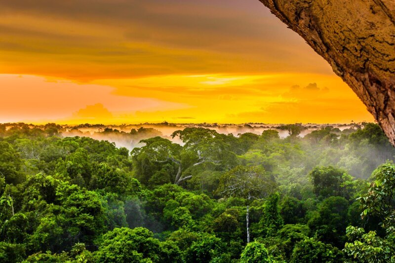 Der Regenwald im Amazonasgebiet von Brasilien wird immer weiter abgeholzt, um den Hunger der Industrienationen nach Tropenholz, Rindfleisch und Biosprit zu stillen. – Bild: shuttersotck