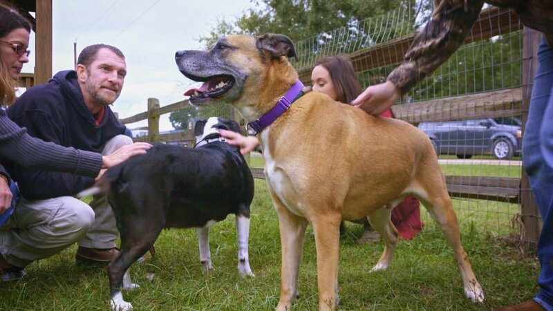 Hunde mit Besitzern. – Bild: Warner Bros. Discovery