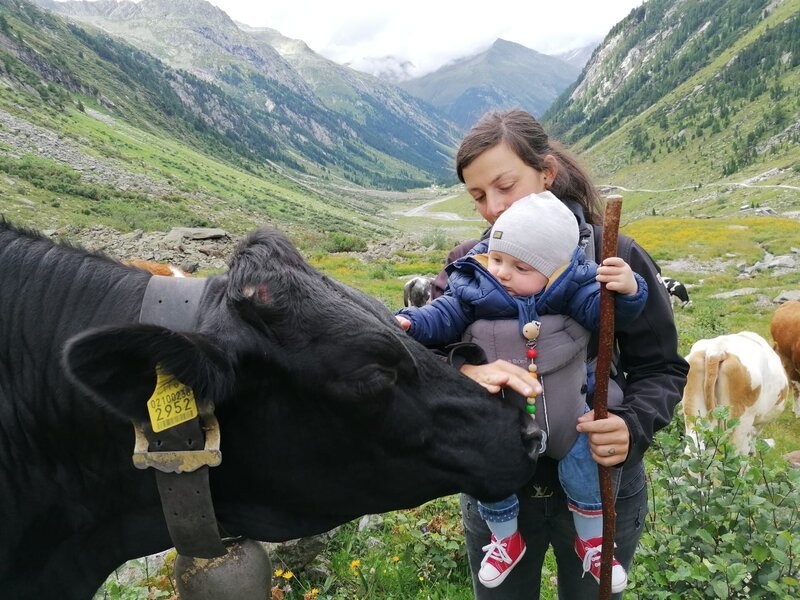 Die Innerkeesalm im salzburgischen Pinzgau ist im Sommer der Lebensmittelpunkt für die 29jährige Südtiroler Sennerin. In diesem Jahr stellt Judith sich einer besonderen Herausforderung: Neben 40 Jungrindern und Milchkühen, die sie täglich versorgen muss, ist auch erstmals der kleine Freddy mit dabei auf der 1800 Meter hoch gelegenen Innerkeesalm. Nach und nach macht sie ihn vertraut mit den Tieren. – Bild: Brigitte Kornberger /​ BR