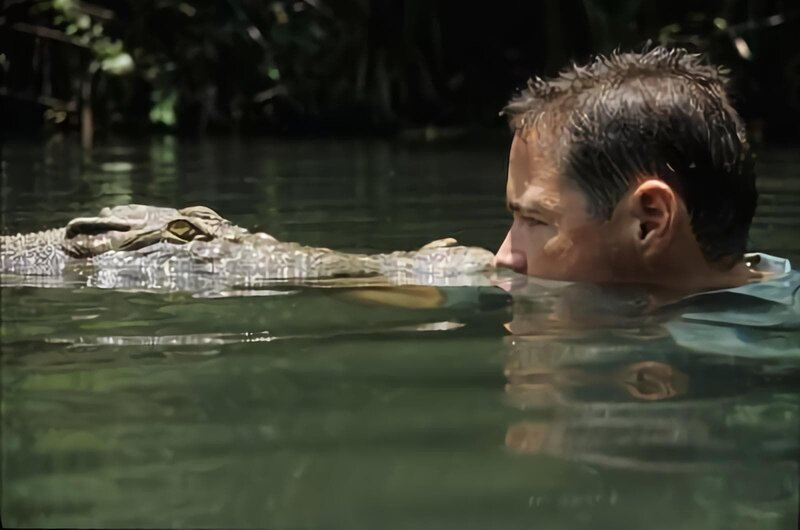 The ‚sound‘ episode will explore an alligators bellow as Jeff travels by helicopter and airboat to get into a waterhole with a big male alligator as it calls for a mate. The ‚teamwork‘ episode looks at Chimps that live in a complex society and Jeff is the latest member. These guys are in a constant power struggle to find out who’s top chimp. Jeff keeps a low profile to keep from getting attacked. – Bild: DHD /​ Discovery Networks Picture Publicity
