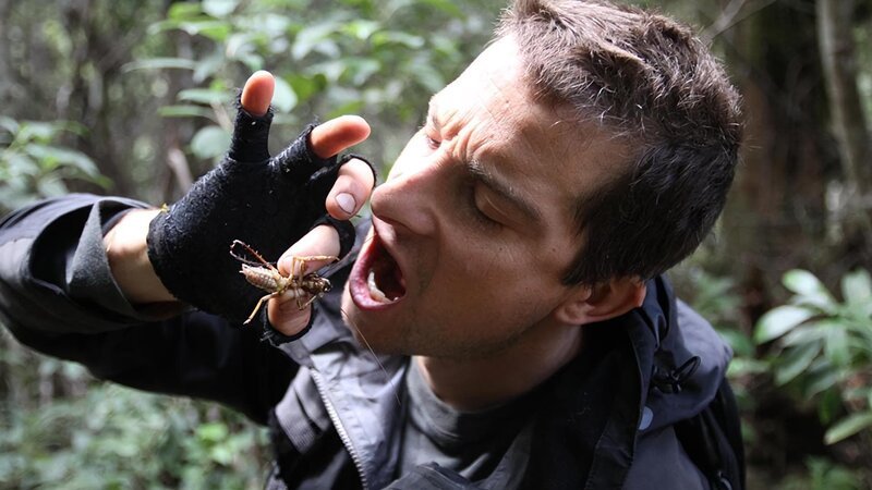 Bear Grylls eating a weta in New Zealand. – Bild: Discovery Channel /​ Discovery Communications