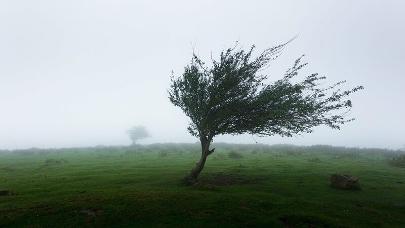Wind ist die horizontale Bewegung von Luft. Er entsteht durch Druckunterschiede in der Atmosphäre. – Bild: Weather Group Television