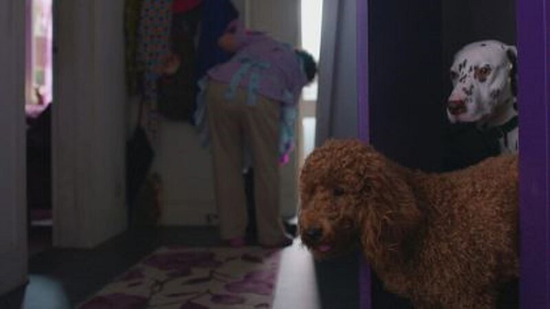 Wuffel stiftet Baxter dazu an, in die Wohnung von Frau Hobbs (Angela Curran) zu schleichen. – Bild: ZDF/​Darrall MacQueen