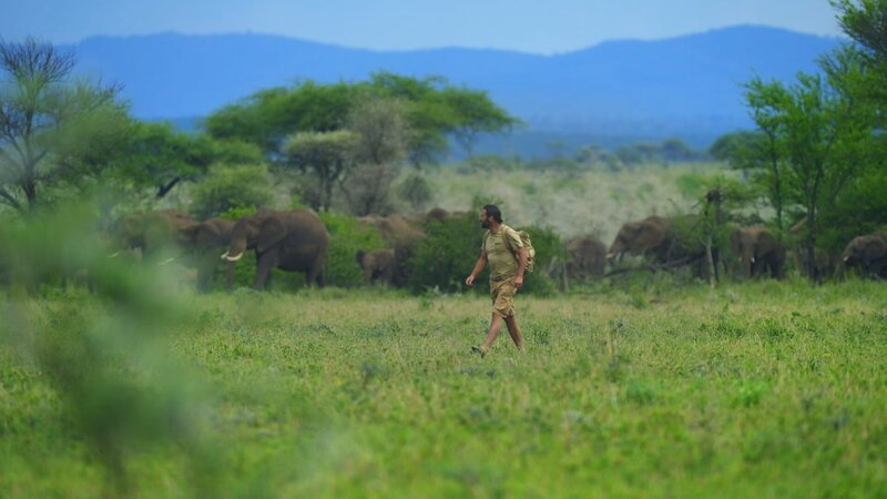 Bild: National Geographic