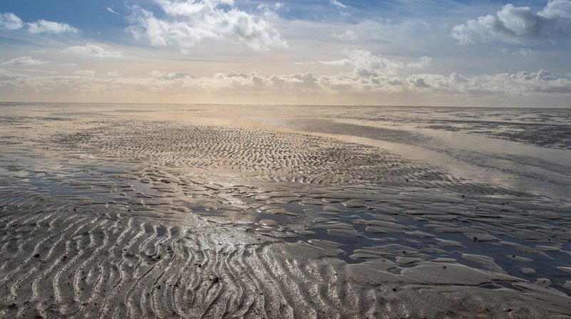 Das Wattenmeer – bis zu 40 Kilometer zieht sich das Wasser bei Ebbe zurück. – Bild: NDR/​Martina Andrés/​Doclights Nat