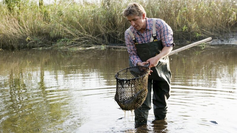 Fritz (Guido Hammesfahr) rettet die Karpfen aus dem Teich. Irgendjemand hat das Wasser abgelassen, bloß wer? – Bild: ZDF/​Antje Dittmann