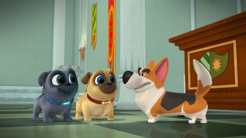 Bingo, Rolly und Crumpet – Bild: Disney Junior