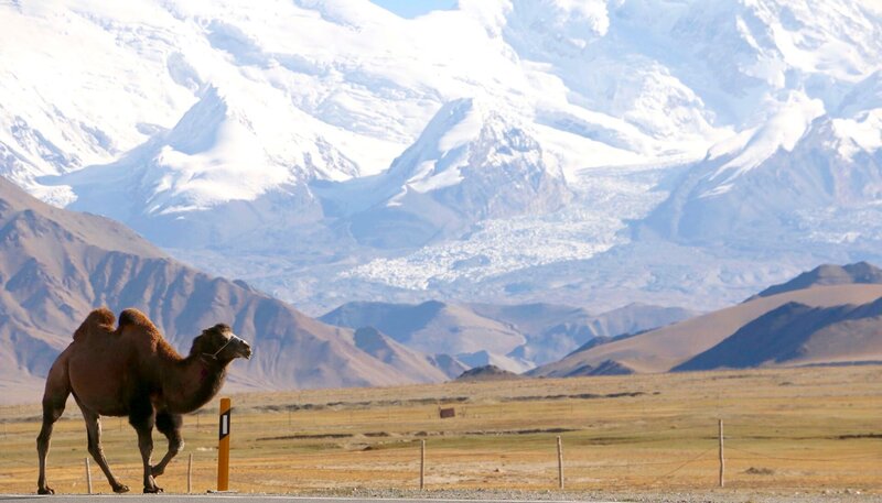 Chinas neue Seidenstraße – Bild: NDR/​Mario Schmidt/​Lilian Wu