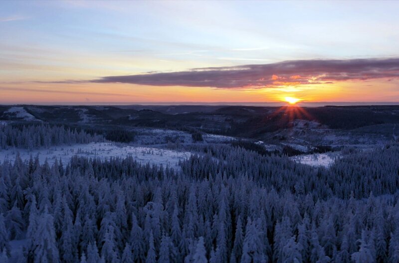 Der Schwarzwald ist das größte und höchste Mittelgebirge Deutschlands. – Bild: SWR/​AMP