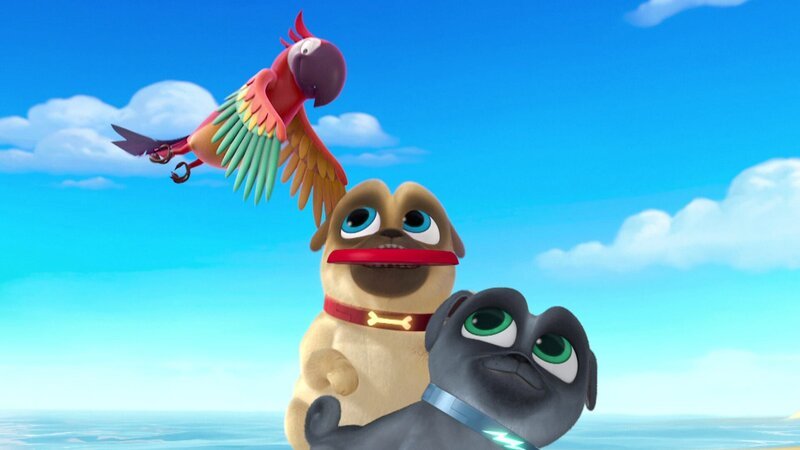 L-R: Parrot (voiced by Tom Kenny), Rolly (voiced by Sam Lavagnino), Bingo (voiced by Issac Ryan Brown – Bild: Disnney Channel (DE)