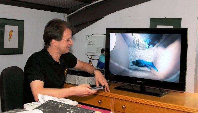 Matthias Reinschmidt überwacht das Spix-Ara-Nest. – Bild: WDR/​Loro Parque