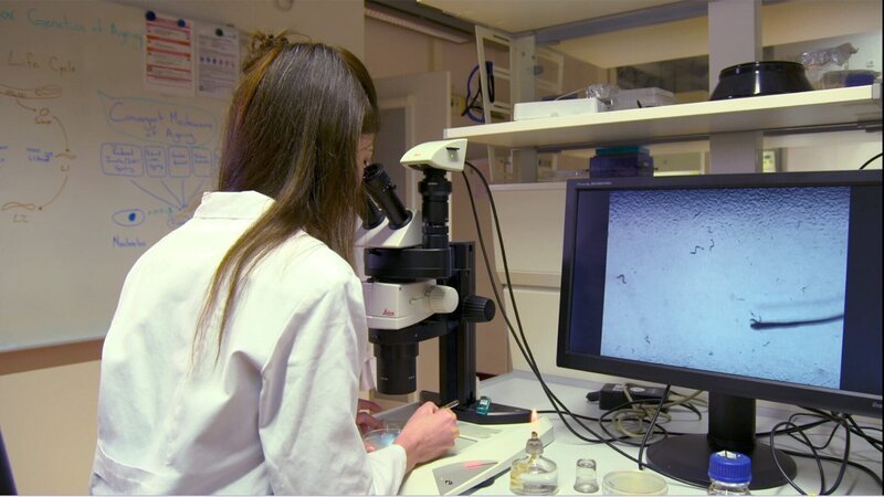Im Labor vor dem Mikroskop. – Bild: ORF/Langbein & Partner Im Labor vor dem Mikroskop. – Bild: ORF/Langbein & Partner