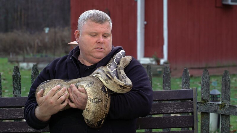 Tierpfleger Mark Kolhorst wurde schon mehrmals von Schlangen gebissen. – Bild: Cineflix/​ WeltN24 GmbH/​ BILD GmbH