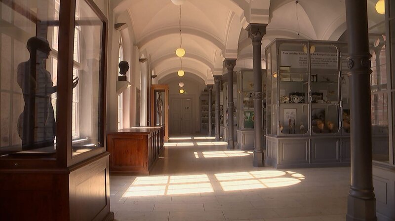 Die Charité - Geschichten von Leben und Tod – Bild: rbb/​Friedemann Rehse