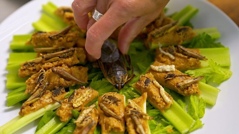 Die Dokumentation „Goodbye CO2“ zeigt einen einem Kammerjäger, der sich von Grillen, Heuschrecken und Skorpionen ernährt. – Bild: Off the Fence BV/​ WeltN24 GmbH